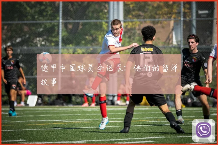 德甲中国球员全记录：他们的留洋故事