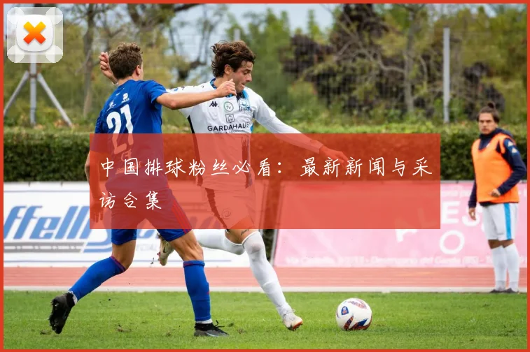 中国排球粉丝必看：最新新闻与采访合集